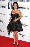 Sara Evans - 41st Annual CMA Awards