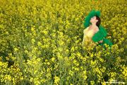 Aria Giovanni - Yellow Field of Flowers o11li4nowy.jpg